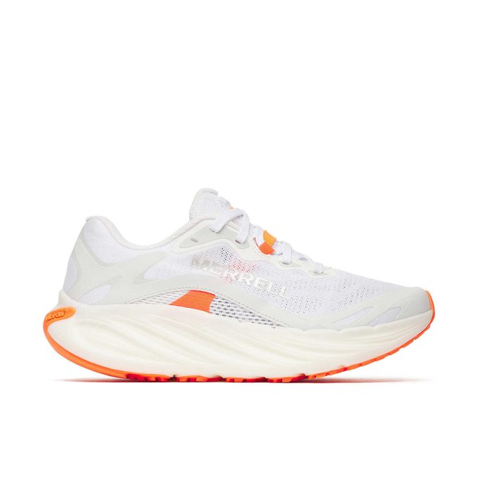 Women’s ProMorph Women’s ProMorph